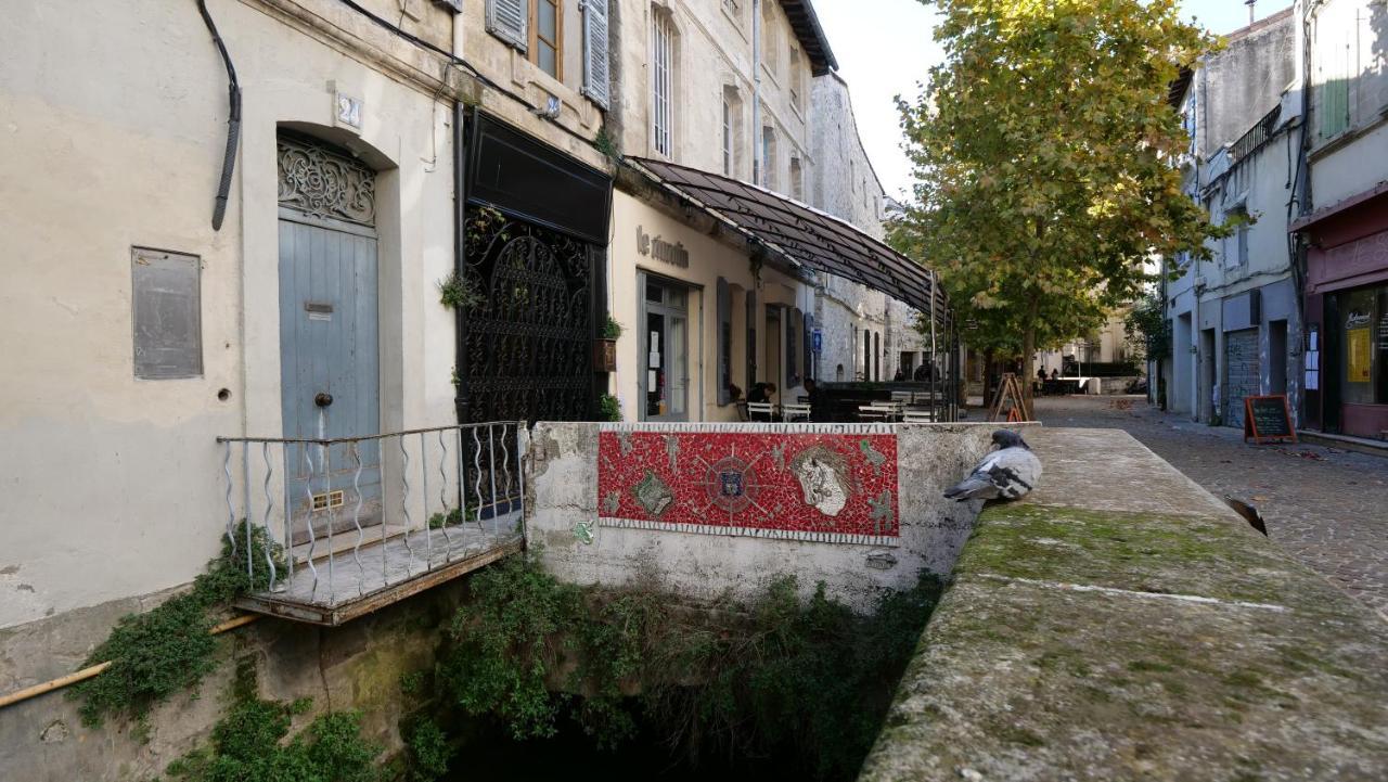 Charmant Studio 25 M2 Centre Ville Avignon Exteriör bild
